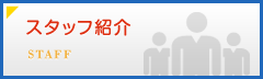 スタッフ紹介
